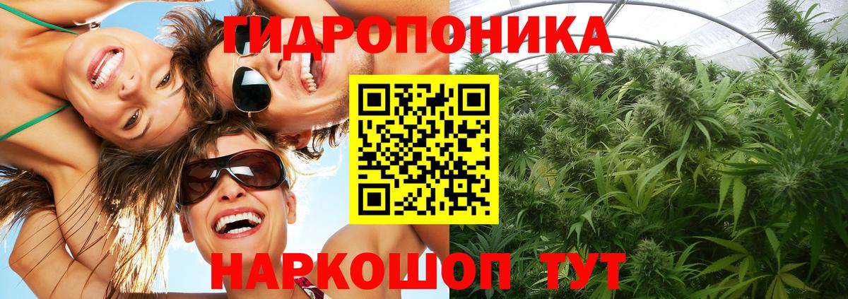 Конопля планчик  Вход с VPN  Чебаркуль  Конопля AK-47 